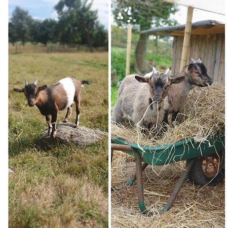 Вилла Le Domaine De La Petite Chevre Ploumagoar Экстерьер фото